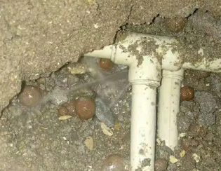南充市卫生间测漏