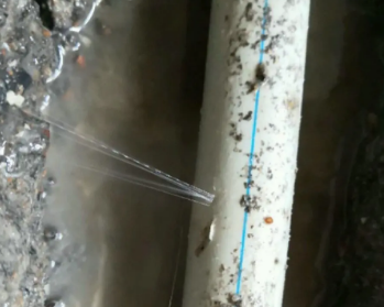 南充市卫生间测漏水多少钱